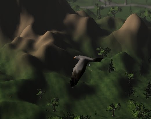 bird.jpg