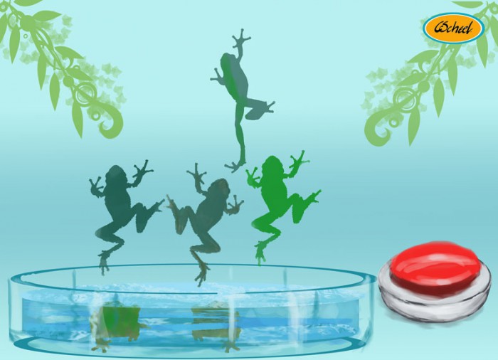 JumpingFrogsOne.jpg